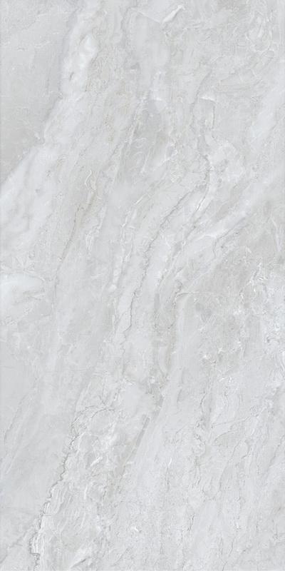 BFBPA59781-3