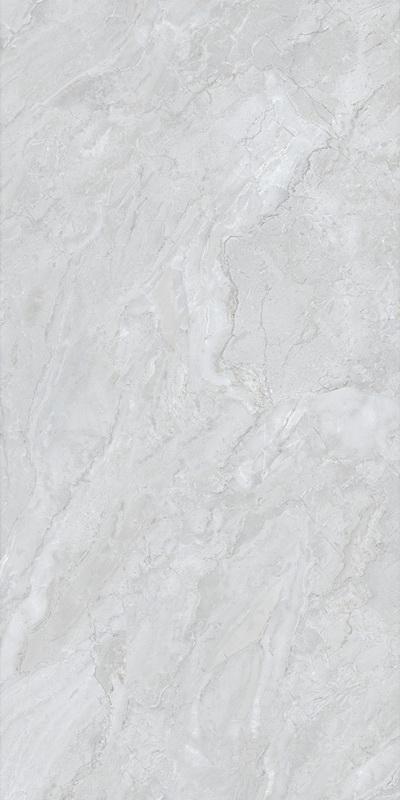 BFBPA59781-4