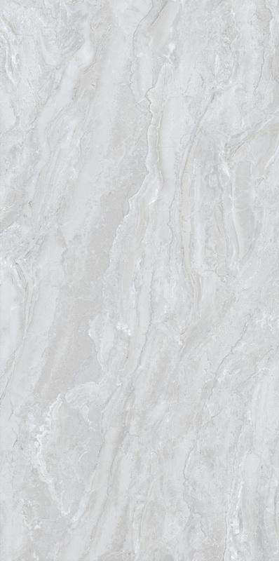 BFBPA59781-2