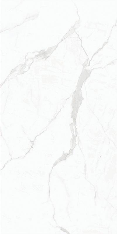 BFBPA59780-4