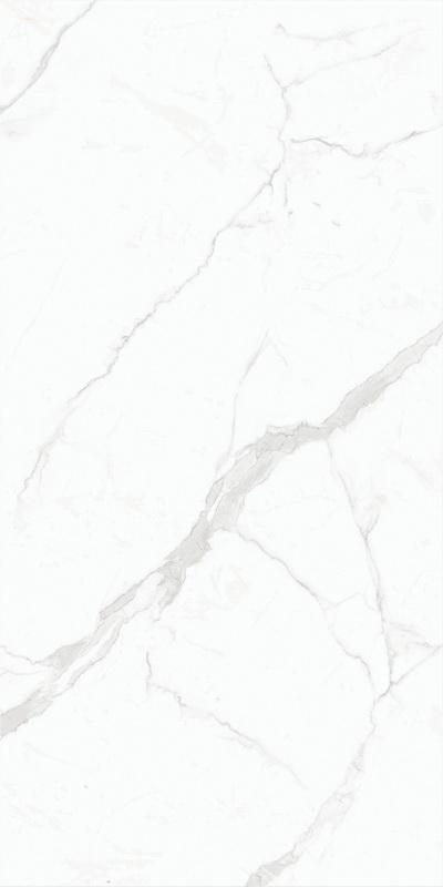 BFBPA59780-3